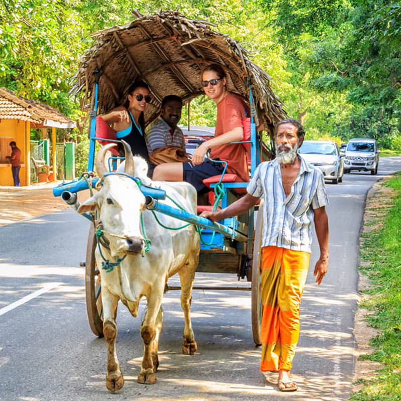 Walking Village Tour