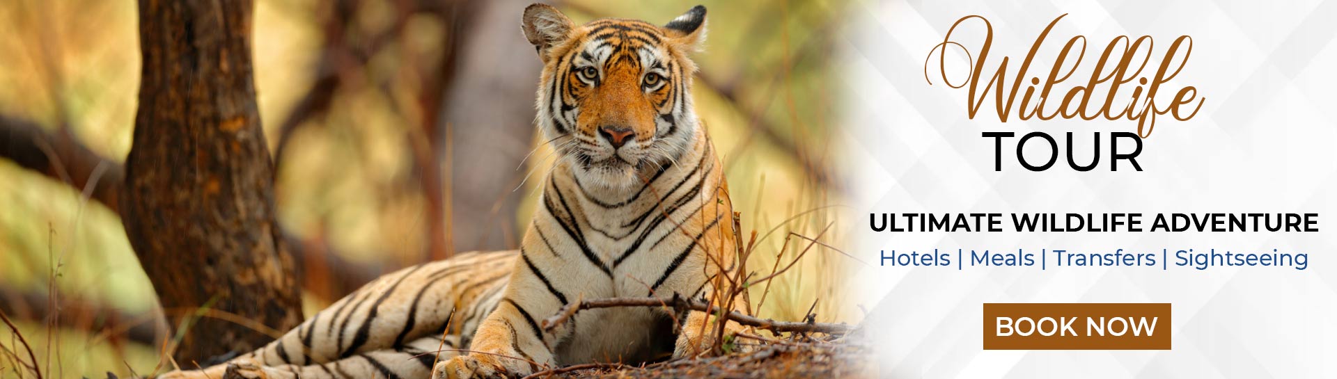 Budget tour packages