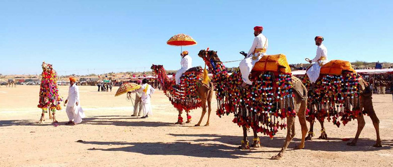 Rajasthan Camel Safari