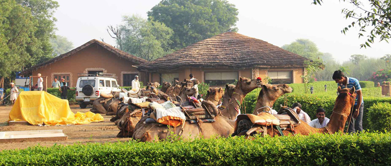 Rajasthan Village Tour Packages