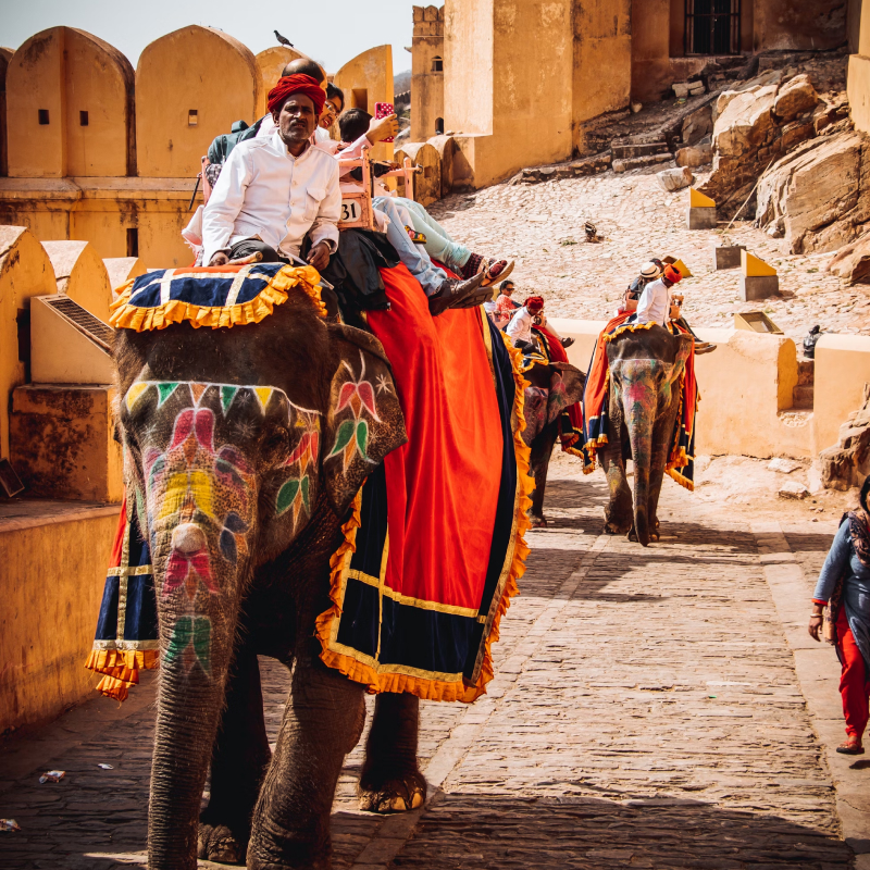 Golden Triangle Tour Packages